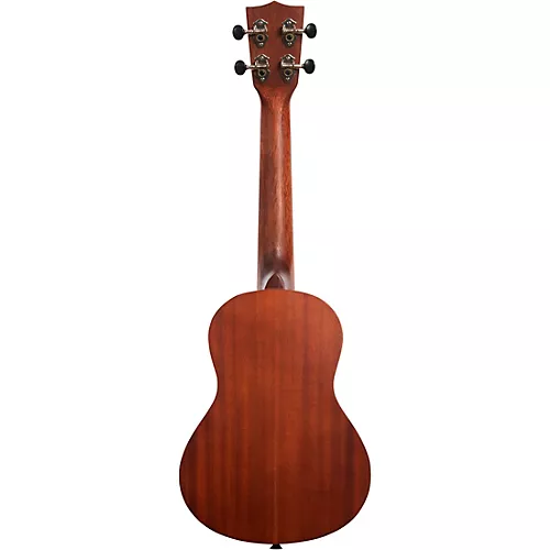 Kala Learn To Play Concert Ukulele Starter Kit