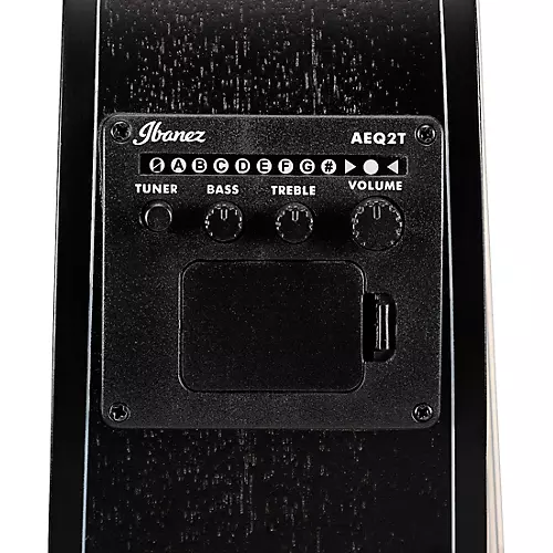 Ibanez GA5MHTCE Classical Acoustic-Electric Guitar Weathered Black