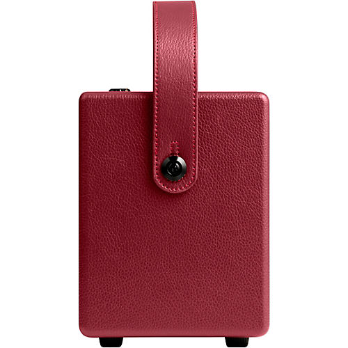 Positive Grid Spark MINI Vai 10W Battery-Powered Stereo Combo Amp Red