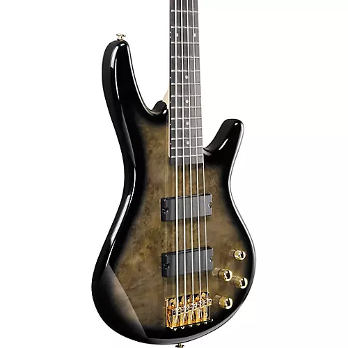 Ibanez GSR205PC 5-String Electric Bass Guitar Transparent Pale Black Burst