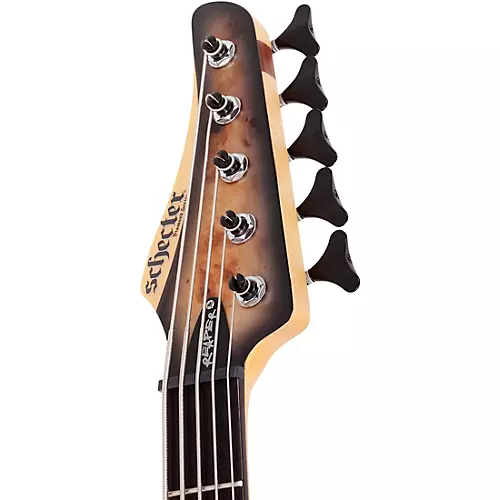 Schecter Guitar Research Reaper-5 5-String Electric Bass Guitar Satin Charcoal Burst