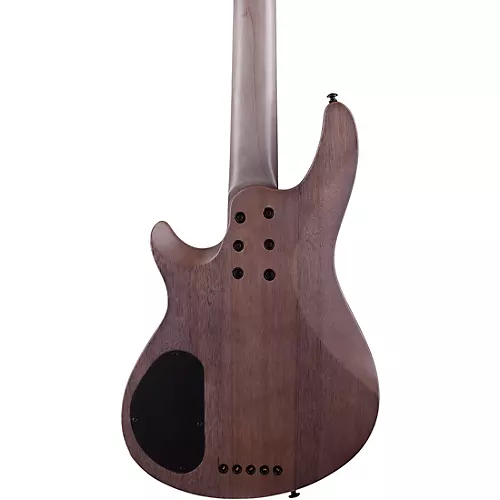 Schecter Guitar Research Omen Elite-5 5-String Electric Bass See-Thru Blue Burst