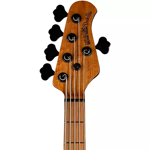 Ernie Ball Music Man DarkRay 5 H Ebony Fingerboard 5-String Electric Bass Dark Rainbow