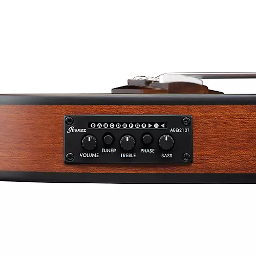 Ibanez FRH10NL Left-Handed Nylon-String Acoustic-Electric Guitar Brown Sunburst Flat