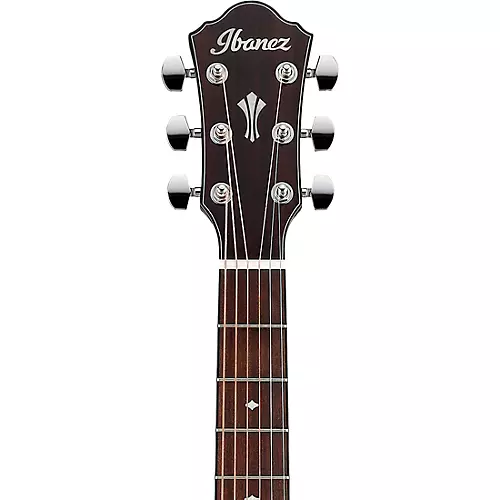 Ibanez AEG220 Solid Top Grand Concert Acoustic-Electric Guitar Dark Brown Open Pore
