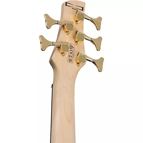 Ibanez GSR205PC 5-String Electric Bass Guitar Transparent Pale Black Burst