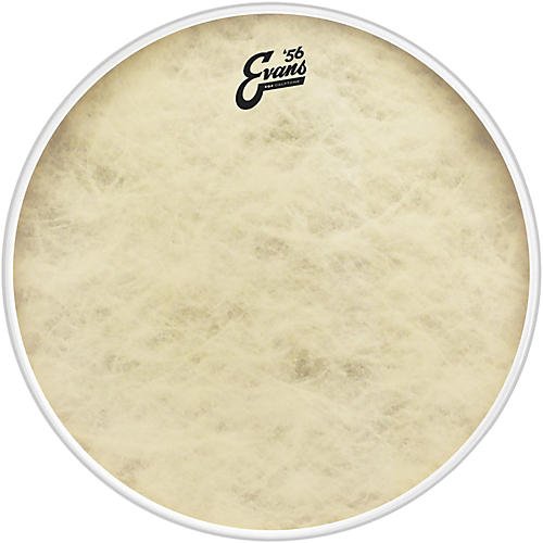 EVANS EQ4 Calftone Bass Drum Head 20 in.