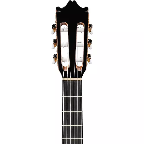 Ibanez GA Series GA34STCE Thinline Solid Top Classical Acoustic-Electric Guitar Natural
