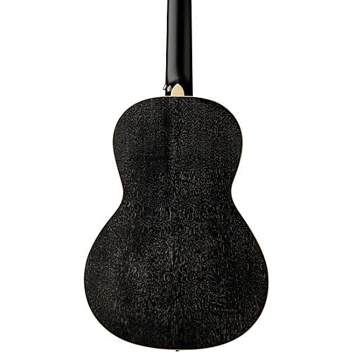 PRS SE P20E Parlor Acoustic-Electric Guitar Dog Hair