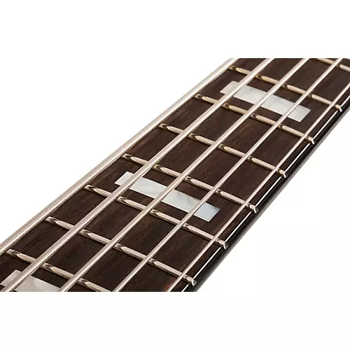 Schecter Guitar Research Daniel Firth Hellraiser Extreme-5 Electric Bass Cthulhu Burst Satin