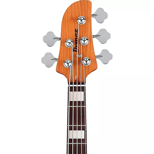 Ibanez TMB405TA 5-String Electric Bass Guitar Cosmic Blue Starburst