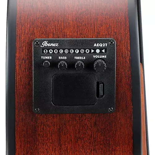 Ibanez AEGB30E Spruce-Sapele Acoustic-Electric Bass Guitar Natural