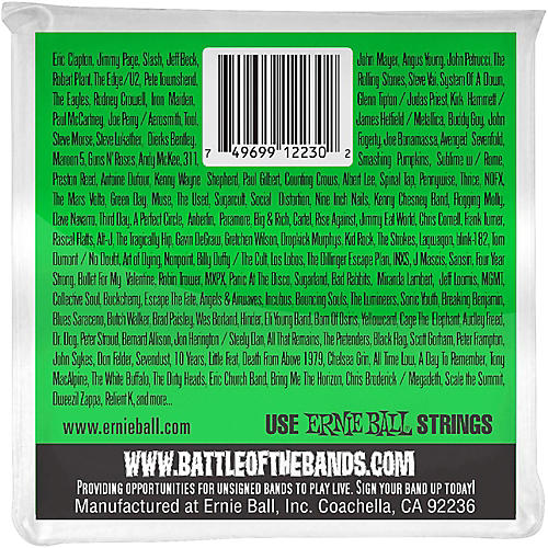 Ernie Ball P02230 Nickel 12-String Slinky Electric Guitar Strings 8-40