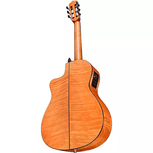 Cordoba Fusion 14 Maple Nylon-String Classical Acoustic-Electric Guitar Natural