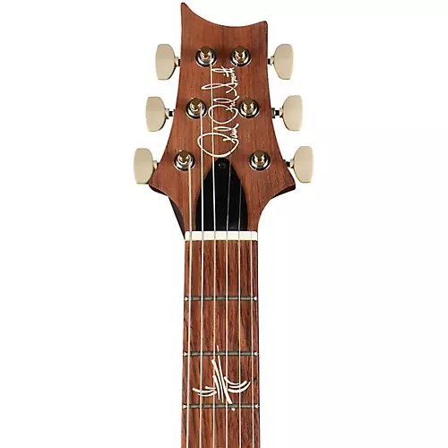 PRS Paul's Guitar Electric Guitar Red Tiger