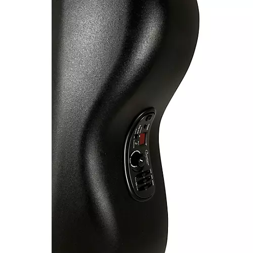 Ovation 2058TX-5-G Pro Series Elite TX Deep Contour 12-String Acoustic-Electric Guitar Textured Black