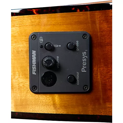 Breedlove Pursuit Exotic S CE Concerto Acoustic-Electric Bass Amber Burst