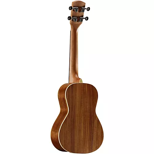 Alvarez RU90CP Regent Concert Ukulele Pack Natural