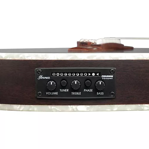 Ibanez TOD10NL Tim Henson Signature Left-Handed Nylon-String Acoustic-Electric Guitar Transparent Black Flat