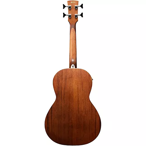 Ibanez PNB14E Parlor Acoustic-Electric Bass Guitar Natural