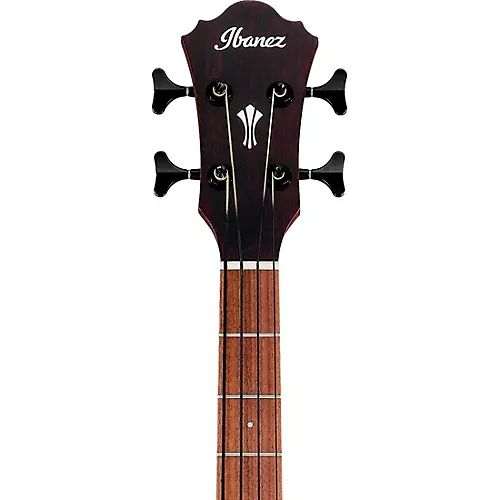 Ibanez AEGB24E Acoustic-Electric Bass Guitar Black Gloss