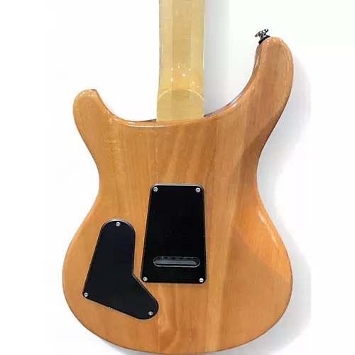 Used PRS SE Custom 24 ERZRA VERDE Solid Body Electric Guitar ERZRA VERDE