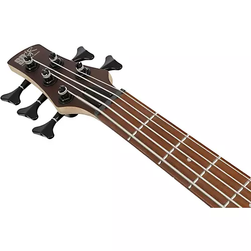 Ibanez SR305EB 5-String Electric Bass Guitar Walnut Flat