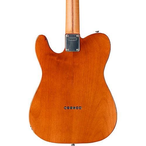 LsL Instruments Thinbone S/P90 Electric Guitar Lake Placid Blue