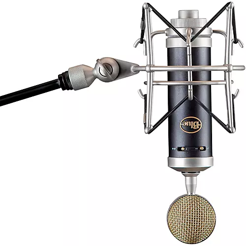 Blue Baby Bottle SL Large-Diaphragm Studio Condenser Microphone