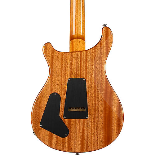 PRS Special Semi-Hollow Electric Guitar Yellow Tiger