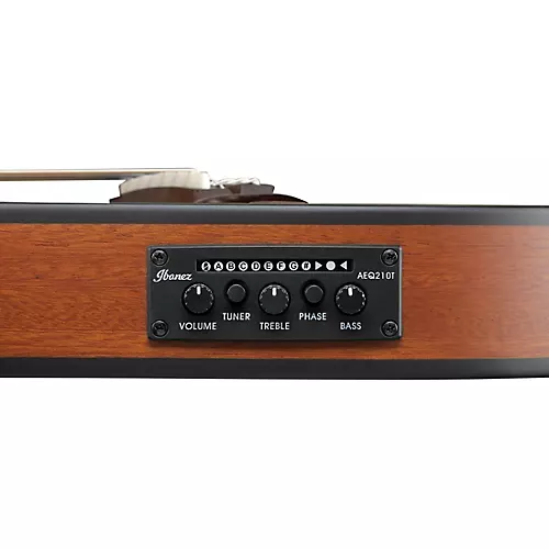 Ibanez FRH10N Nylon-String Acoustic-Electric Guitar Rose Gold Metallic Flat