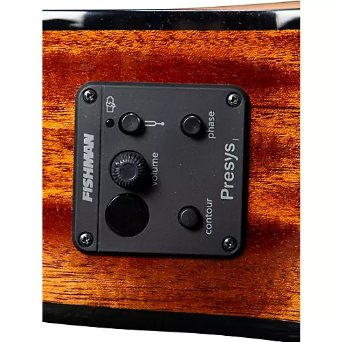 Breedlove Pursuit Exotic S CE Cedar-Myrtle Concert Acoustic-Electric Classical Guitar Natural