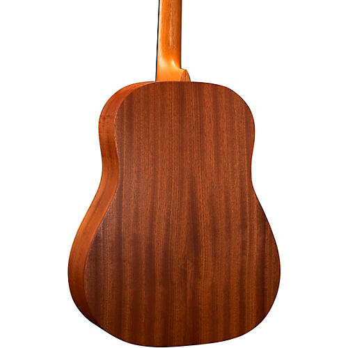 Martin DSS Biosphere II Dreadnought Acoustic Guitar Whale