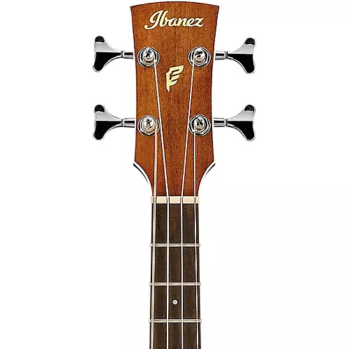 Ibanez PNB14E Parlor Acoustic-Electric Bass Guitar Natural