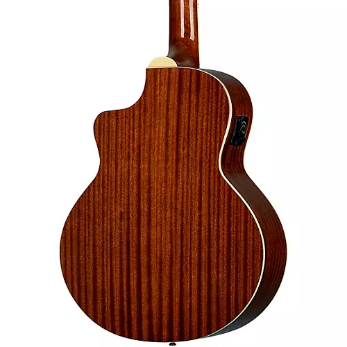 Ortega D8CE-5 5-String Acoustic-Electric Bass Guitar Black