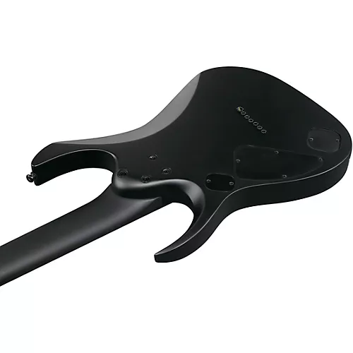 Ibanez RGD Iron Label 7-String Electric Guitar Black Flat