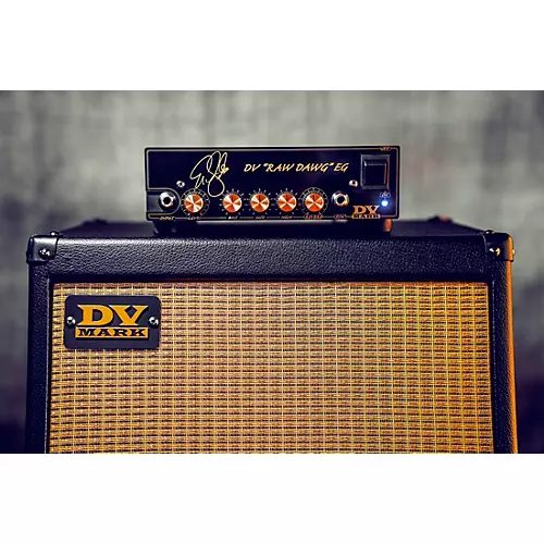 DV Mark Raw Dawg EG 250W Guitar Amp Head Black