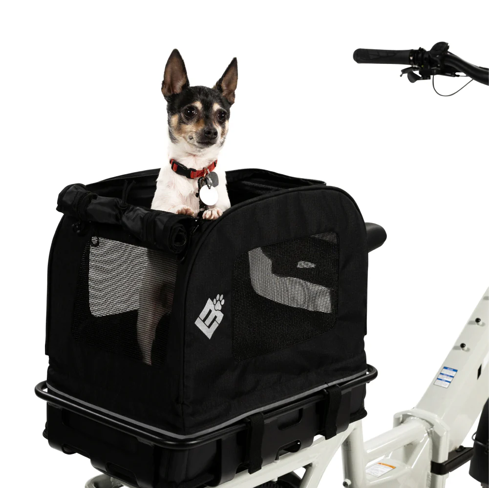 Small Pet Carrier