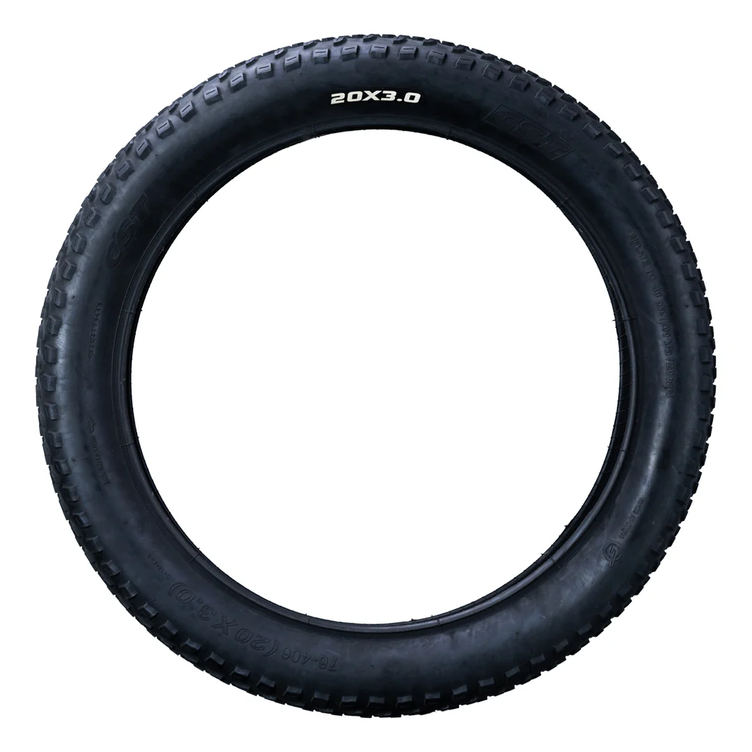 Tires (2) - 20 x 3