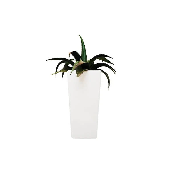 Artificial Plants In Pot