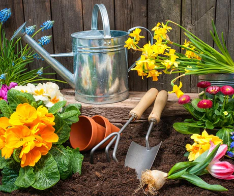 Garden Decorations