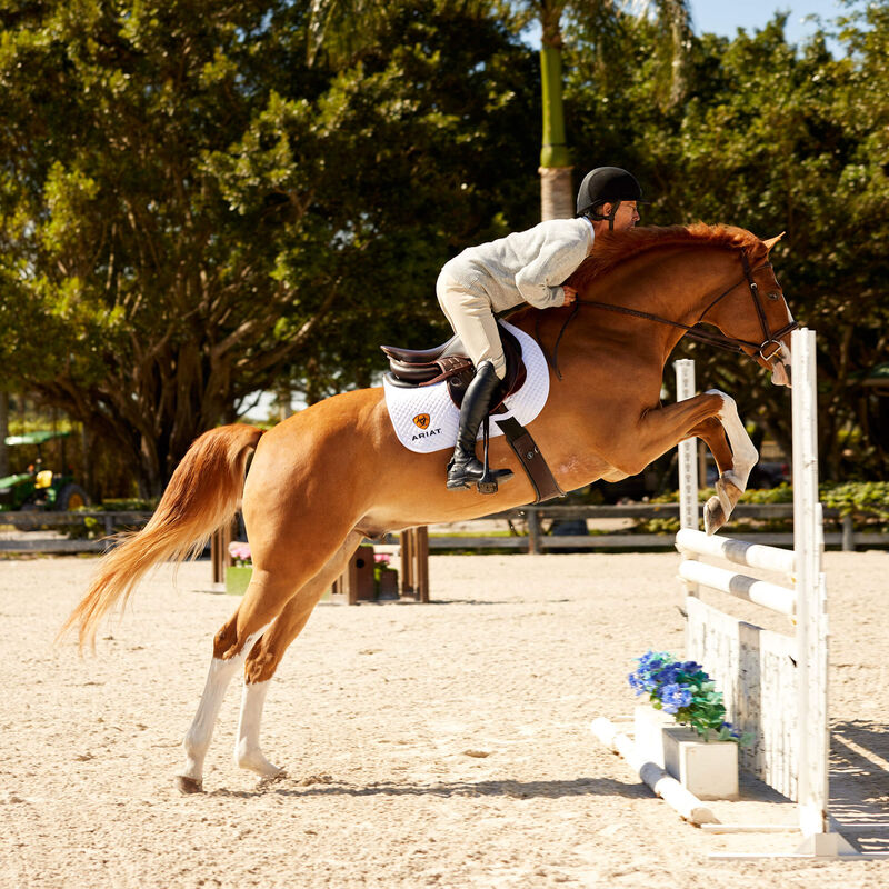 Devon Tall Riding Boot