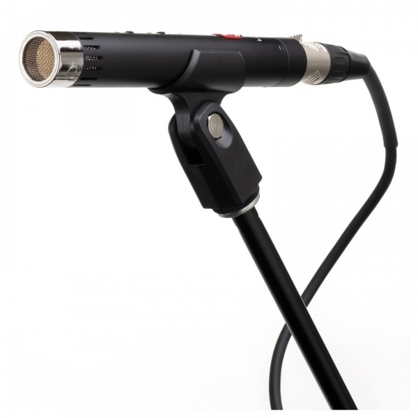 Lauten Audio LA-120 V2 Small Diaphragm Condenser Microphone, Pair