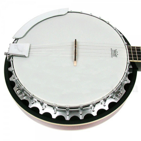 Ozark 2104G 5 String Banjo, with Gig Bag