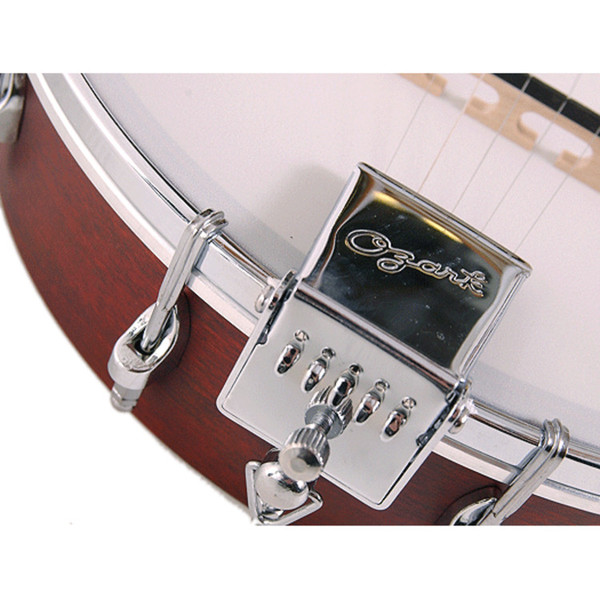 Ozark 2102G 5-String Banjo, with Gig Bag