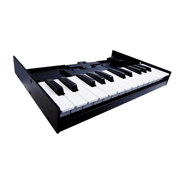 Roland K-25m Keyboard for Roland Boutique Series