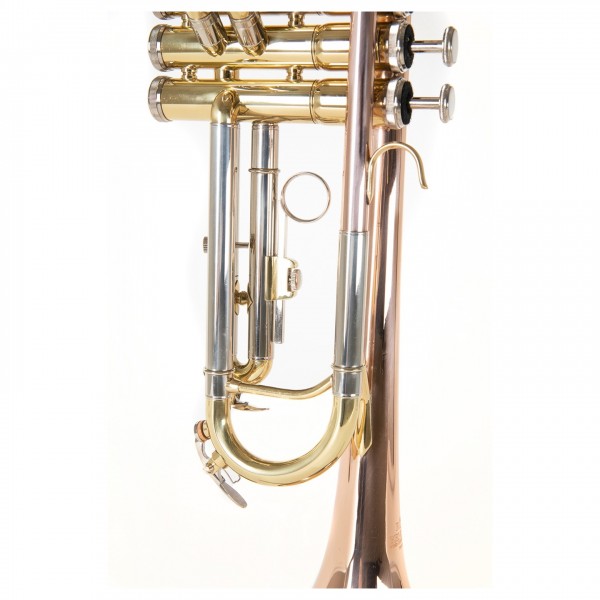 Roy Benson TR202 Trumpet, Gold Brass Bell