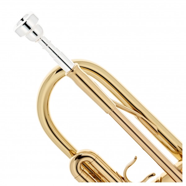 Roy Benson TR101 Trumpet, Lacquer