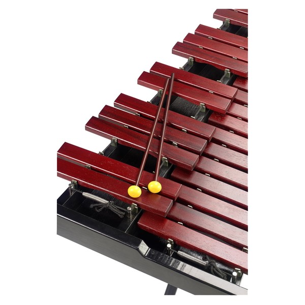Stagg Xylophone 37 Pro With Stand & Bag