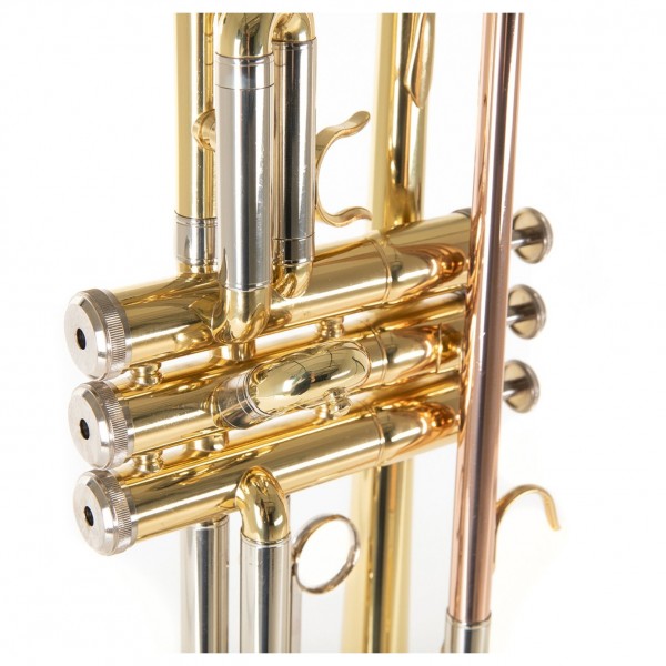 Roy Benson TR202 Trumpet, Lacquer